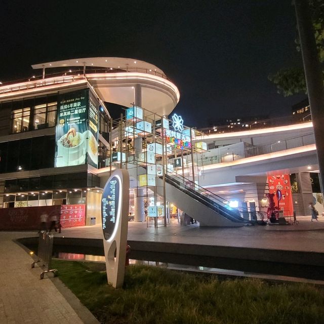 灣區之光! 深圳最高摩天輪!

