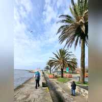 Walk along the Atlantic Coastline 🇵🇹 Foz do Douro