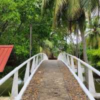Laman Padi Langkawi