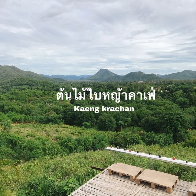 ต้นไม้ใบหญ้าคาเฟ่ แก่งกระจาน จ.เพชรบุรี 🍃