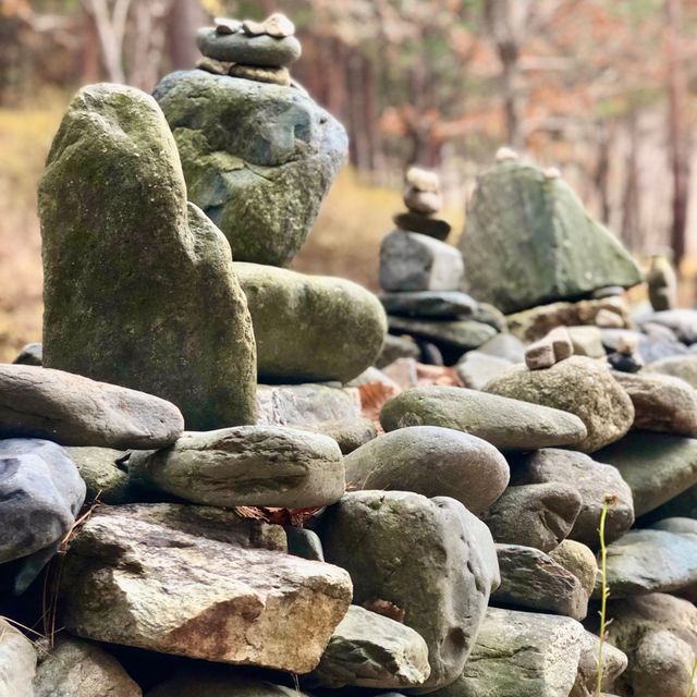 강릉 [노추산 모정탑길]에 단풍 한스푼🍁