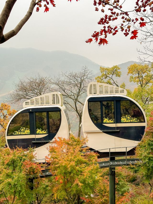 서울근교 가장 핫하다는 단풍명소 소개와 꿀팁🍁