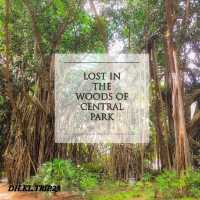 KLCC Park, You're Tree-Mendous 
