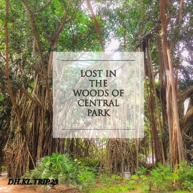 KLCC Park, You're Tree-Mendous 