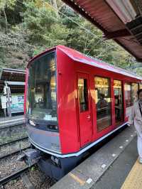 The Mountainside Railway - Hakone Train 