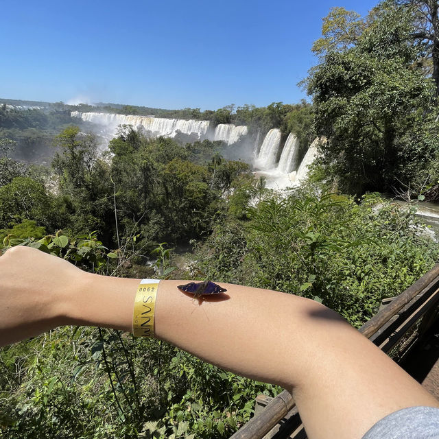 Iguazu Falls - Argentinian side