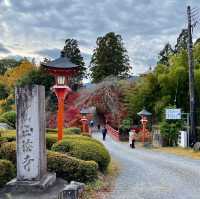 「京都西山正法寺」值得遊歷