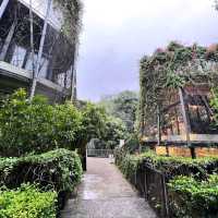 Forest urban lanscape of Tamarind Square