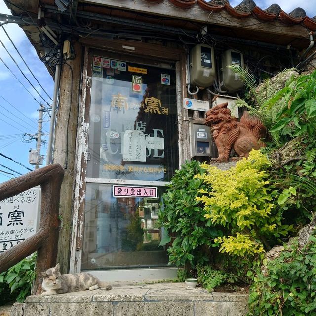 沖縄観光！2023 「壺屋やちむん通り」