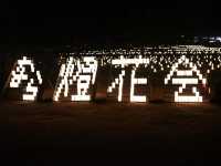 เทศกาลเทียนไขนาราโทคาเอะ Nara Tokae Festival