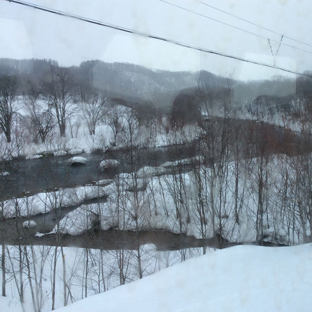 Niseko's Snowy Serenity: 2015 Chronicles