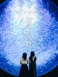 【山形】世界一のクラゲ水族館🪼幻想的なクラゲドリームシアター🌌