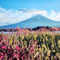Will I ever get to stand on top of Fuji-san?