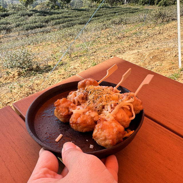 景美山林茶園&山月茶屋/桃園寵物友善網美景點
