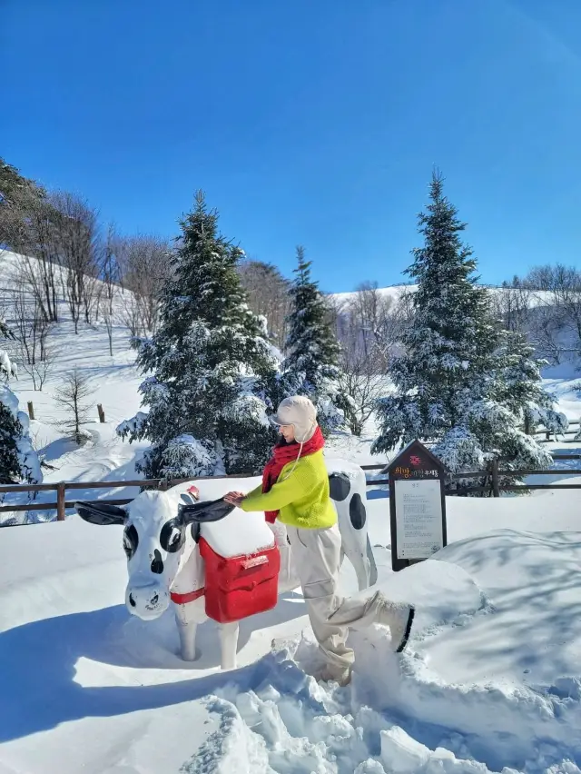 눈쌓인 동물체험장 어떤데🥹❄️