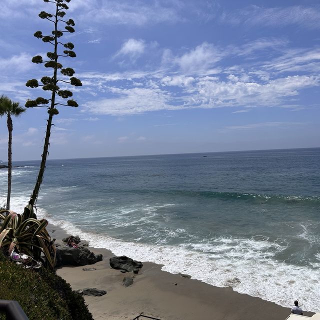 加州一定要去的绝美海滩 Laguna beach~