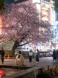 【ソメイヨシノよりひと足先に！🌸】仕事終わりに都内で見れる河津桜スポット紹介！☺️ 