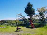 Park located in residential area