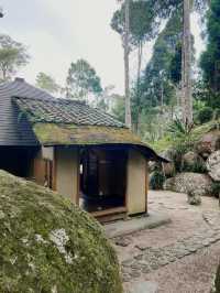 Zen Haven: Exploring the Tranquil Charms
