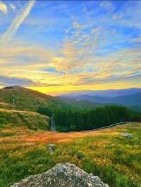 【和歌山/絶景】すすきと朝日🌄のコラボ🫧壮大な世界を1人占め✨秋はすすきが綺麗です‼️