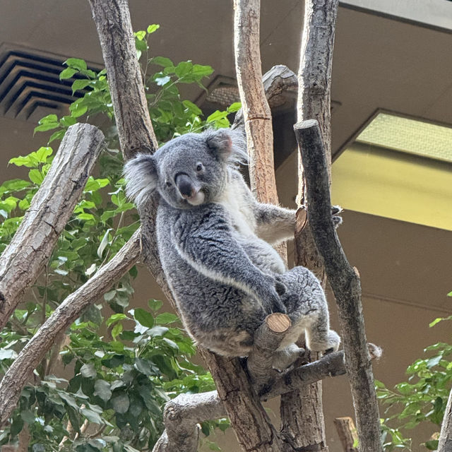 親子之選～東山動植物園 