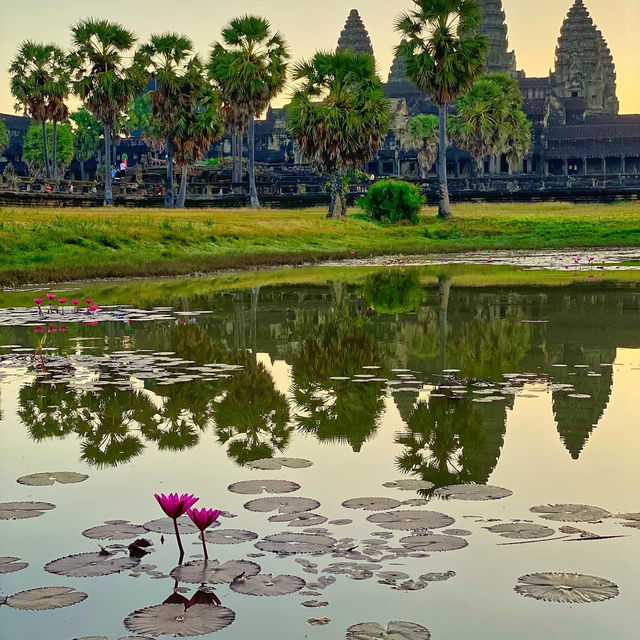 世界規模最大的寺廟 - 柬埔寨吳哥窟 (下) 及觀賞日出攻略