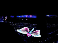 Starry Lighting Park