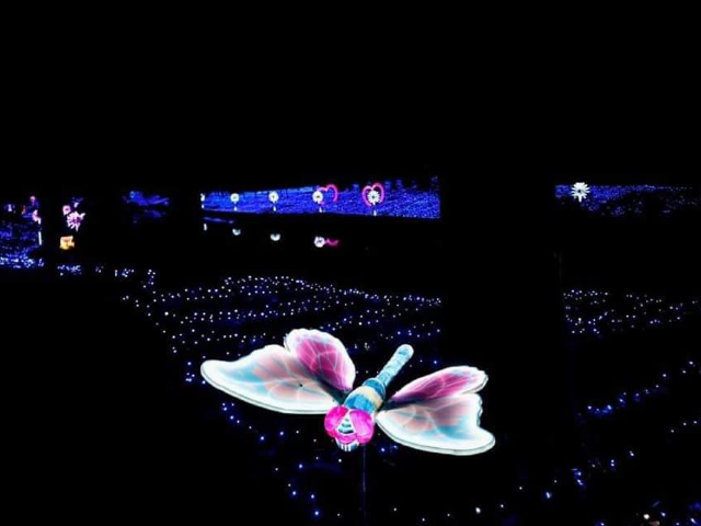 Starry Lighting Park