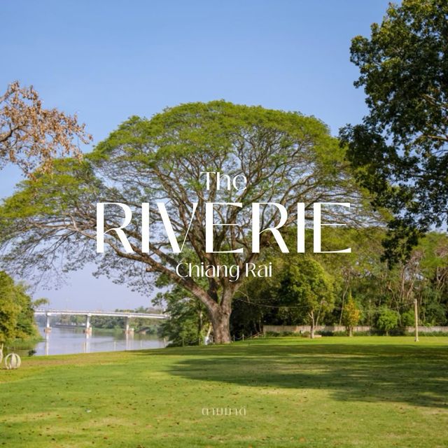 บรรยากาศสุดร่มรื่น  The Riverie by Katathani  🌿✨