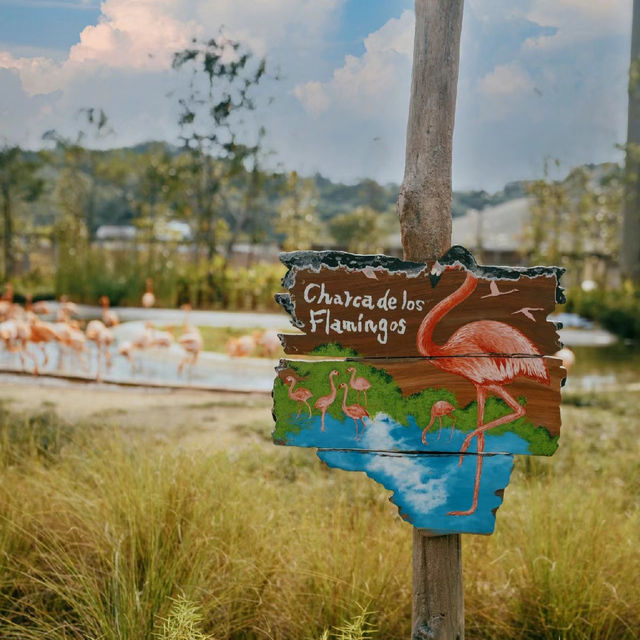 吉隆坡飛禽公園：羽毛艷麗，適合全家一同來