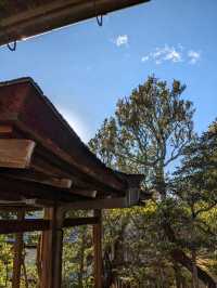 仁和寺の庭や池を眺めるていると、神社とは、また違う…寺院独特の荘厳な美しさを感じる