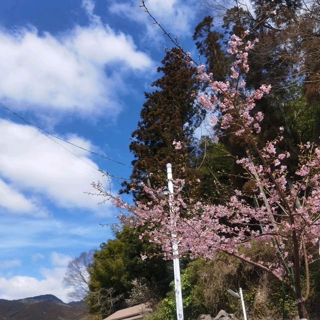 大分縣  - 由布院