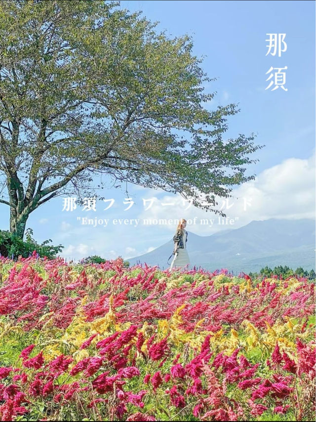 那須のオススメお花畑