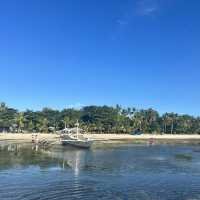 보홀 발리카삭 & 아이솔라 🏝️