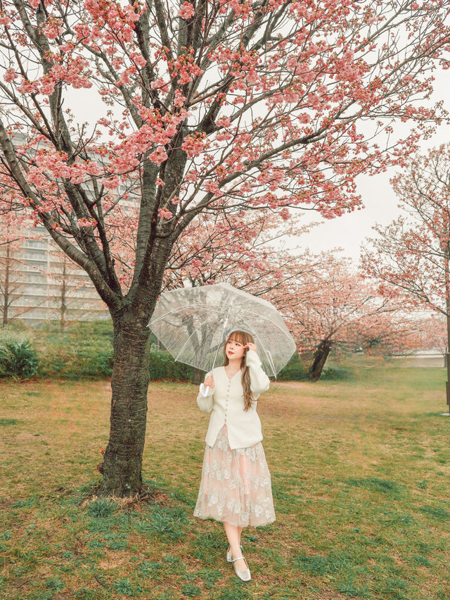 東京｜東京賞櫻花好去處：汐入公園🌸