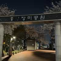한산한 벚꽃 구경 스팟 추천 중랑장미공원💕