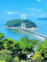 【絶景】島全体が天然記念物！パワースポットの竹島🏝
