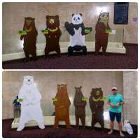 Panda-Monium In The Best Way Possible 