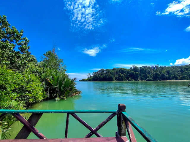 Similajau National Park