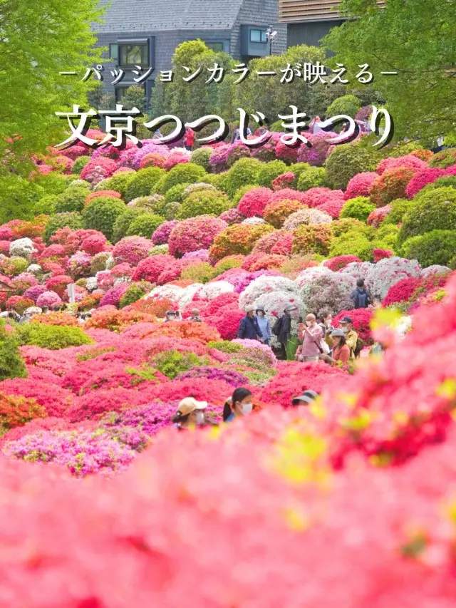 【東京】これから見頃‼️赤やピンクが映え緑とのコントラストが美しいスポット✨※マップ付き 