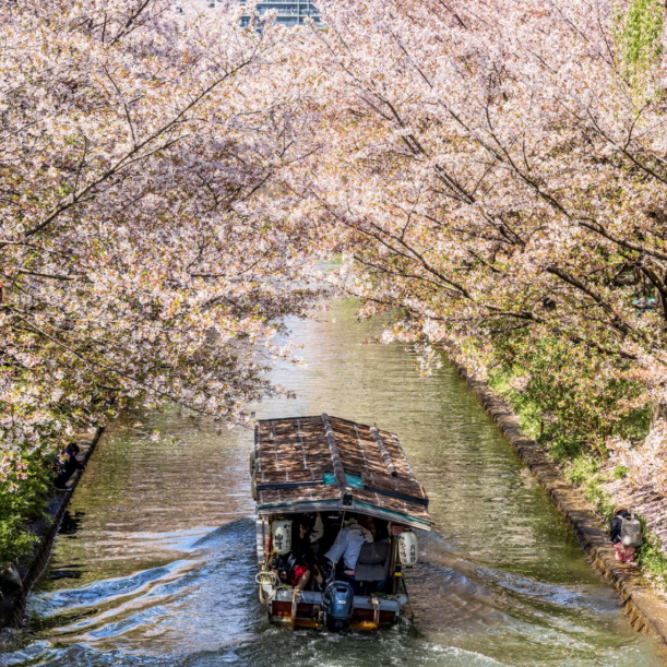 伏見十石舟 | Trip.com Kyoto