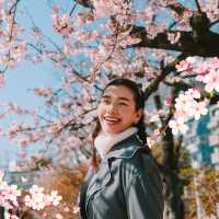 จุดถ่ายรูป Sakura + Tokyo Sky Tree 🌸🗼