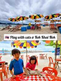 🇹🇭 Play with cats 🐈‍⬛😸🐈 @ Koh Khai Nok