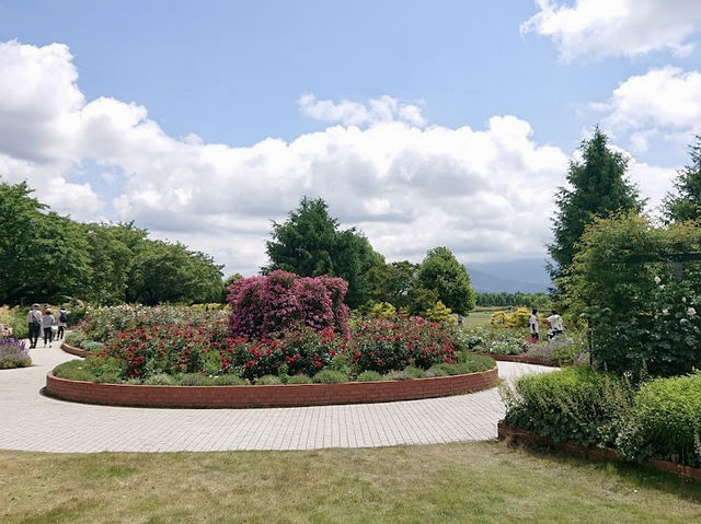 Shinshu Sky Park