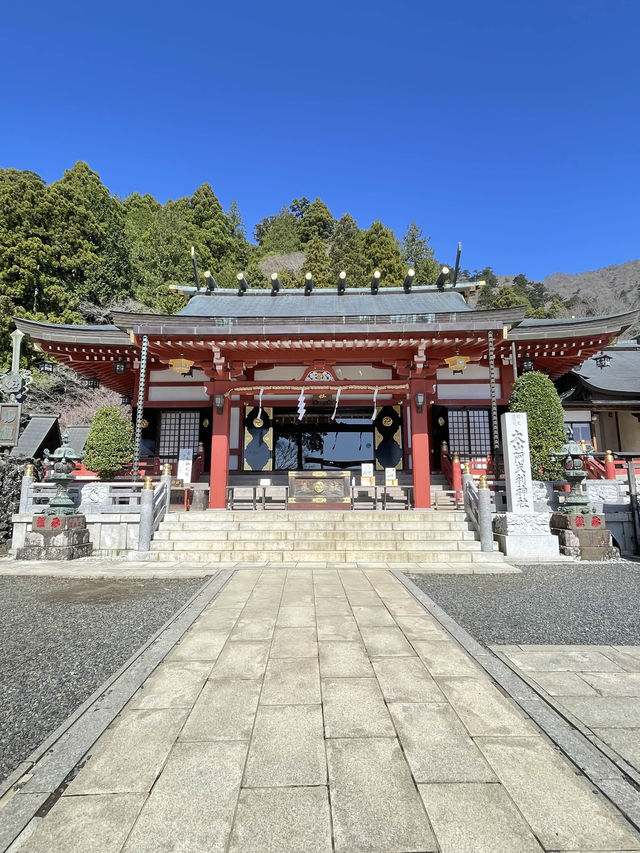【大山阿夫利神社/神奈川県】春は華やかな枝垂れ桜のもとで参拝
