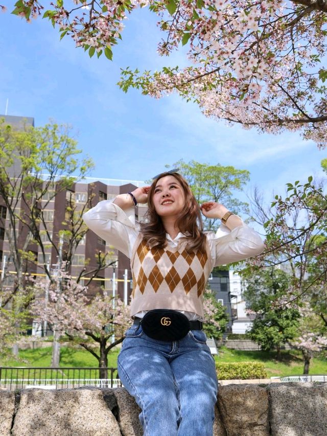 ที่ชมซากุระในเมืองโอซาก้า วันเดียวก็เที่ยวได้!