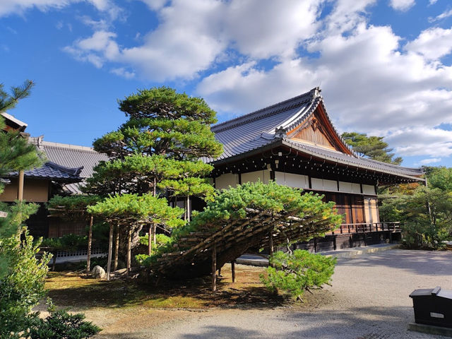 The golden pavilion 