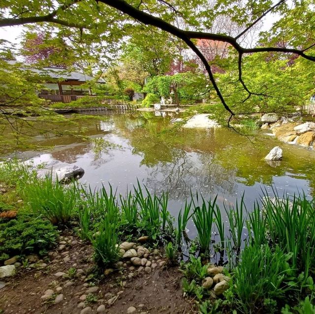 🌼 So fresh and natural in Setagaya Park