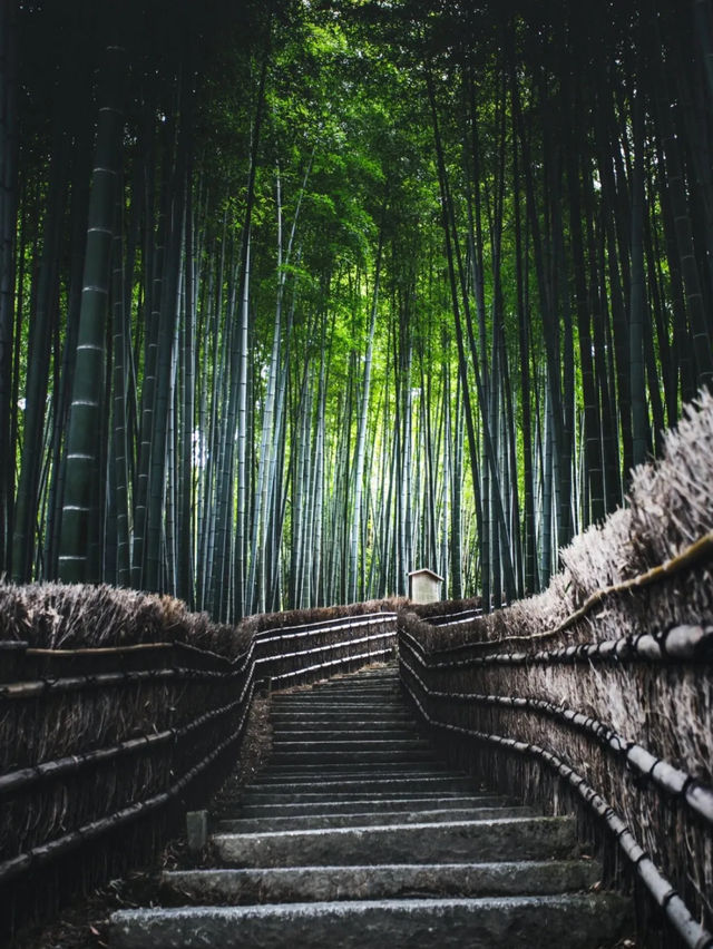 京都一日，步履間的詩意流轉
