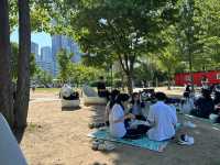 汝矣島漢江公園(여의도한강공원) - 首爾